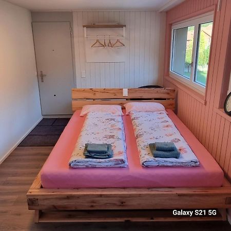 Mountain - Lake Apartment 3 Wilderswil Ngoại thất bức ảnh